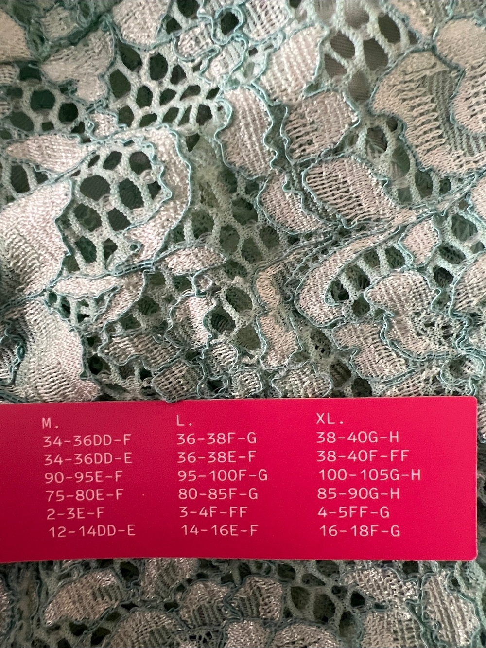 Cosabella Pret-A-Porter Curvy Teddy Lace Bodysuit Verde Umbria Green Large NWT - Picture 11 of 11